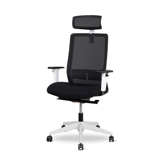 Mesh Ergonomic Office Chair With Headrest | Black | Myka Home