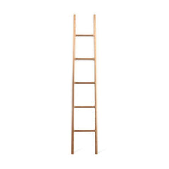 Lionel Ladder