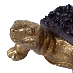 Purple-Robed Golden Tortoise | Myka Home