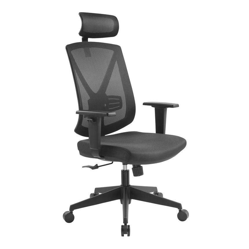 Mesh Ergonomic Office Chair with Headrest | Black | Myka Home