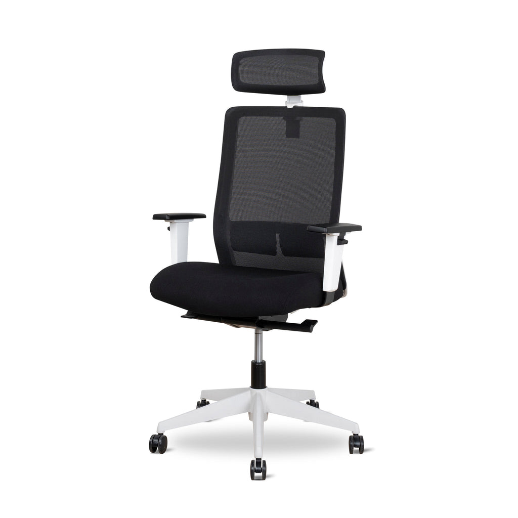 Mesh Ergonomic Office Chair With Headrest | Black | Myka Home