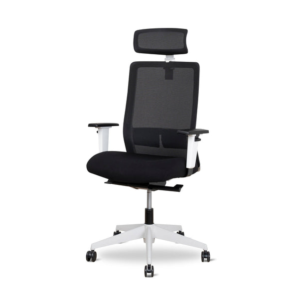 Mesh Ergonomic Office Chair With Headrest | Black | Myka Home