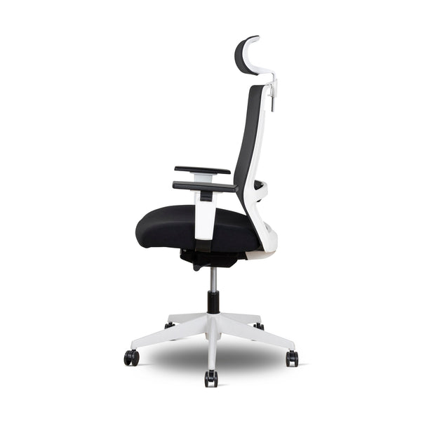 Mesh Ergonomic Office Chair With Headrest | Black | Myka Home