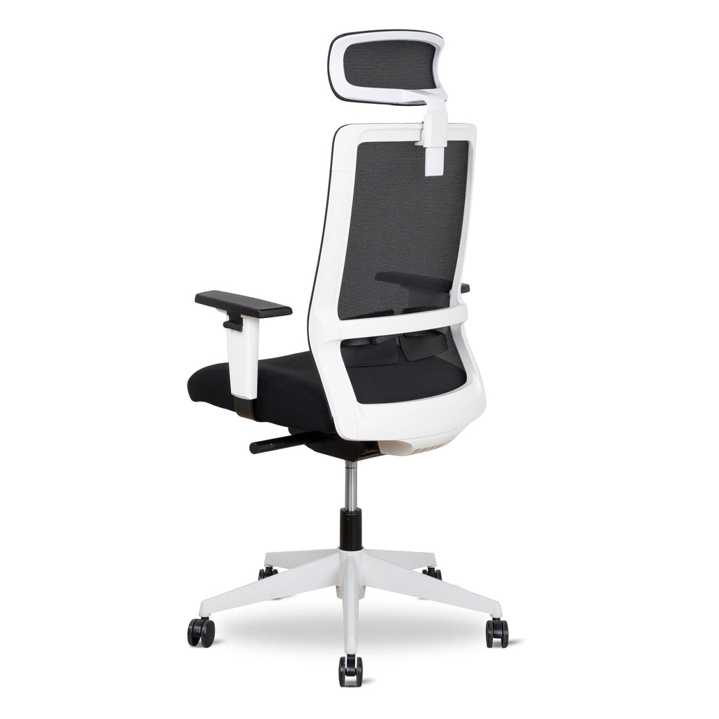 Mesh Ergonomic Office Chair With Headrest | Black | Myka Home