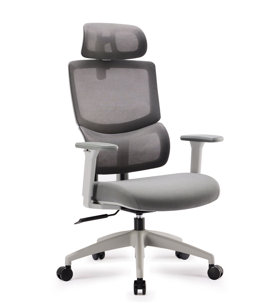 Mesh Ergonomic Office Chair with Headrest | Grey | Myka Home
